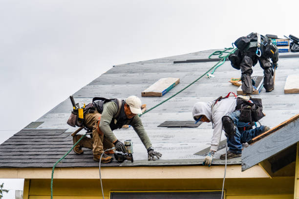 Professional Storm Damage Roof Repair technician working in Narrowsburg, NY